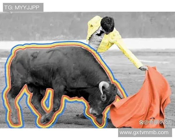 你不知道的公牛:十大冷知识大揭秘 你不知道的公牛:十大冷知识大揭秘